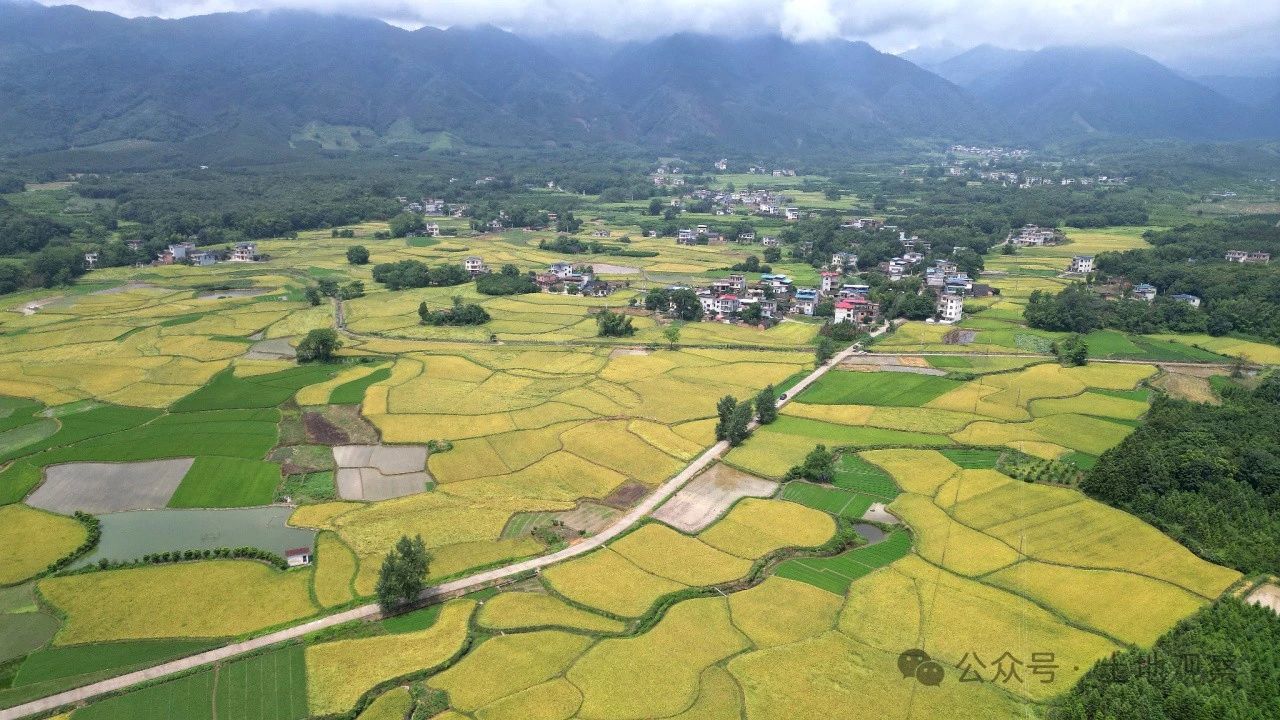 换个角度看耕地保护数智化转型